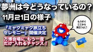 [Latest Report] What's happening at the Expo site now? How far has the demolition work progressed...