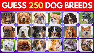 3秒で250種類の犬種を当てよう🐶 | 究極の犬クイズチャレンジ screenshot 5