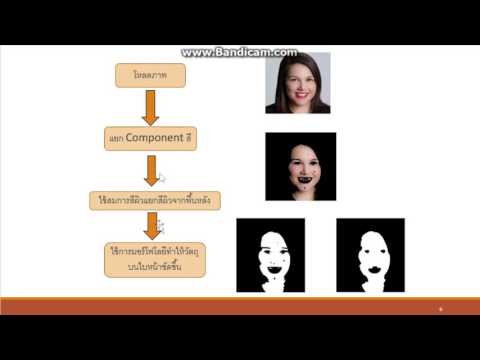 EE01-โครงงานจำลองการตรวจจับการหลับใน ขณะขับรถโดยใช้ Image Processing