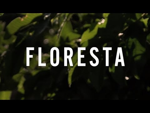 Terra Molhada: Episódio 1 - Floresta