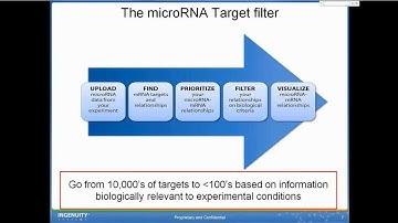 Using IPA to explore microRNA impacts on molecular mechanisms of disease