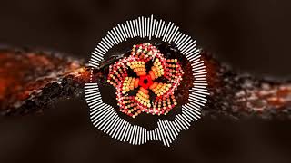 Connection Lost - Fatal Error