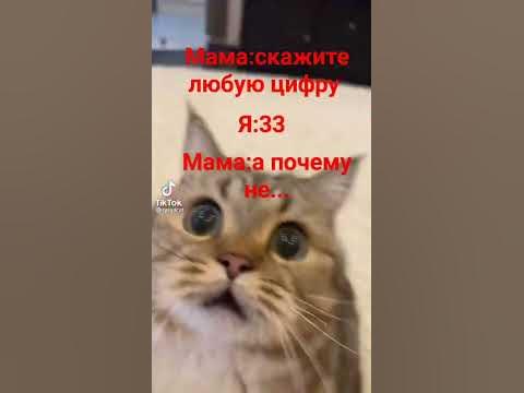 мем №хз какой😂 - YouTube