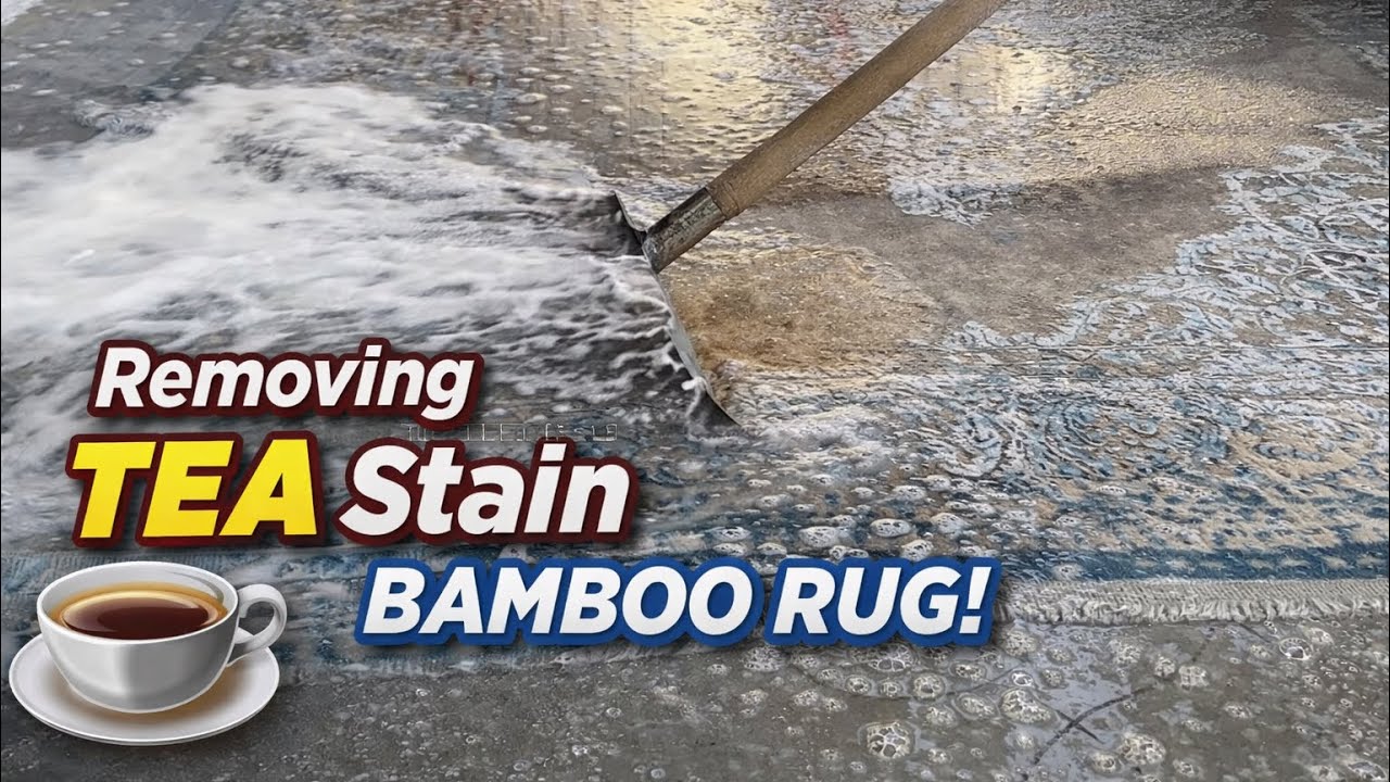 Deep Carpet Cleaning That Will Satisfy You | Before & After