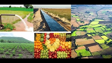 Value Engineering in Agriculture Sector by P.Arjunraj, Technical, Innovation and VAVE Consultant