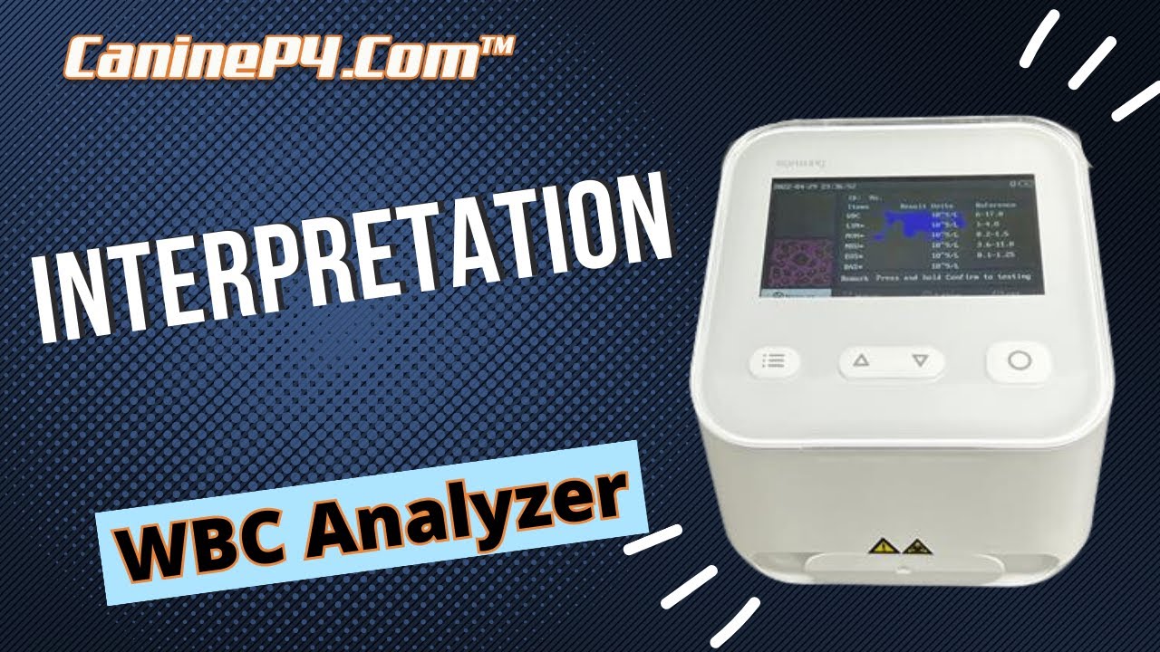 Interpretation | White Blood Cell Counter for Dogs