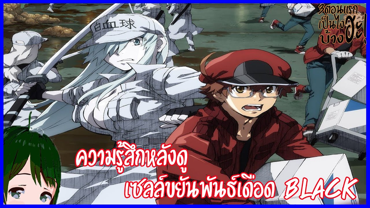 ความรู้สึกหลังดู เซลล์ขยันพันธ์เดือด BLACK|Hataraku Saibou Black (3ตอน