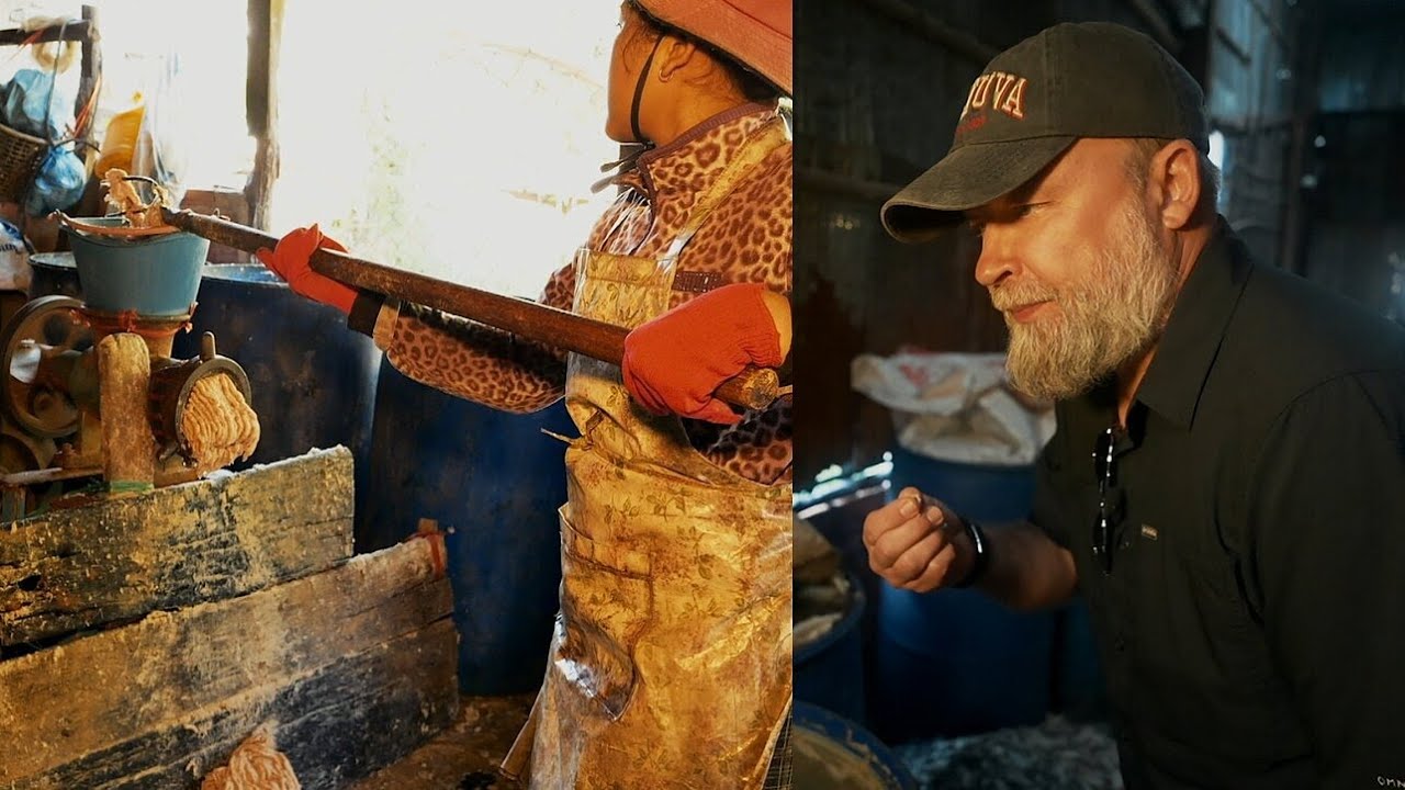 Pūdytos žuvies ir voro paragavęs Starkus: gal ne viską reikia valgyti, ką rodom | 2026-02-18