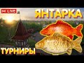 Цветные - оз. Янтарное | Турниры | Розыгрыши | Русская рыбалка 4 стрим рр4 #538