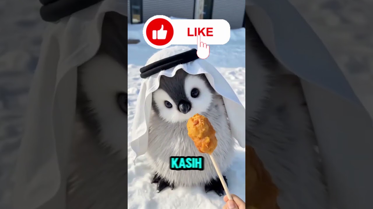 USAHA TIDAK PERNAH MENGKHIANATI HASIL ⁉️ 