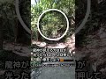 龍神様にお願い事を✨🐲🙏
