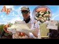 Smoked Fish & Spiced Potato Catch n Cook w Tackle Club Fishing Challenge EP.457