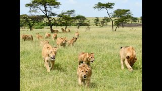 Mahali Mzuri #sofasafari | Episode 23