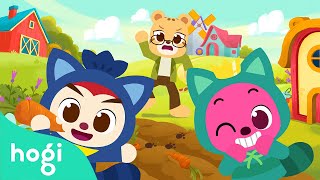 new the troublemaker raccoon brotherskids storiessongs for kidsmagic adventurepinkfong hogi