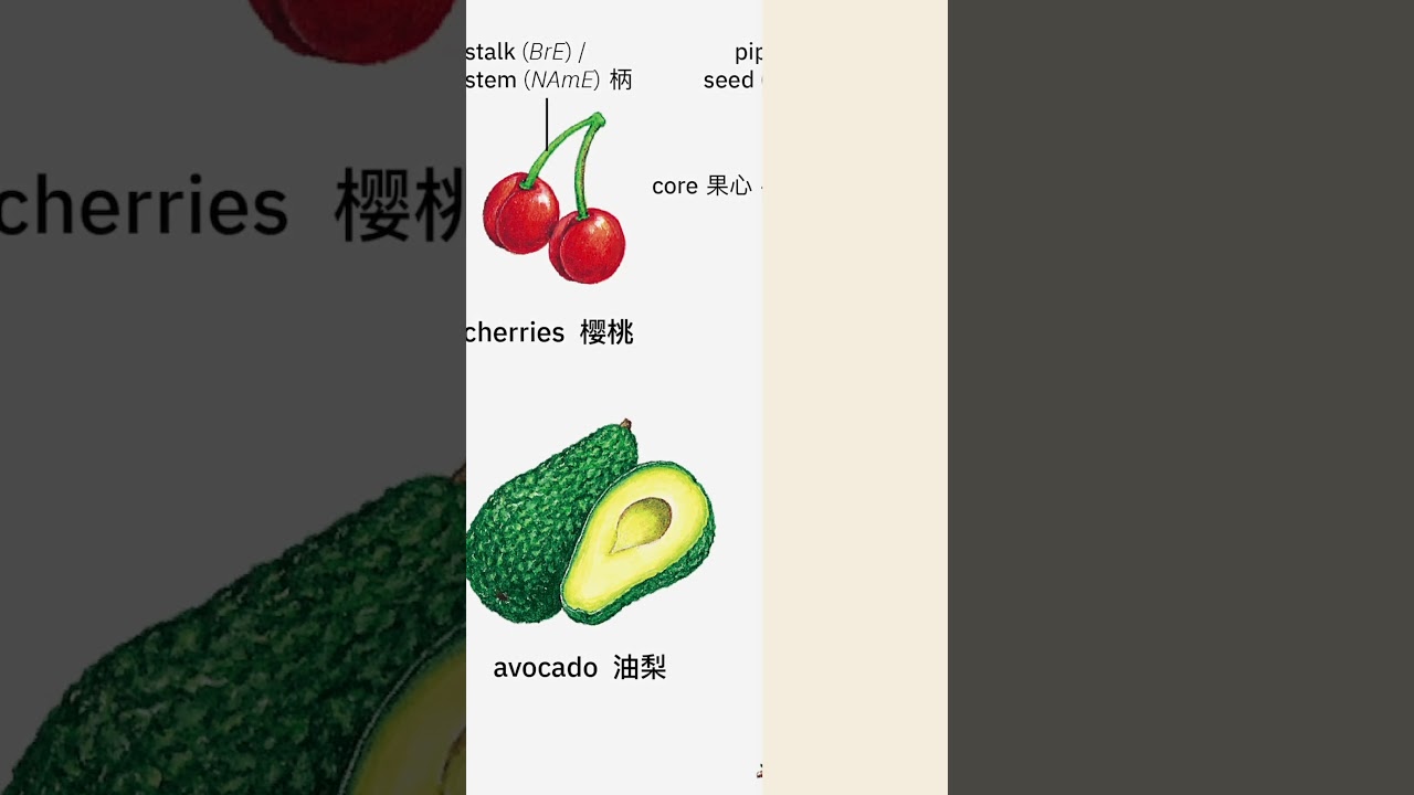 English Dictionary/ fruits YouTube