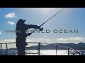 WORLDOCEAN PV