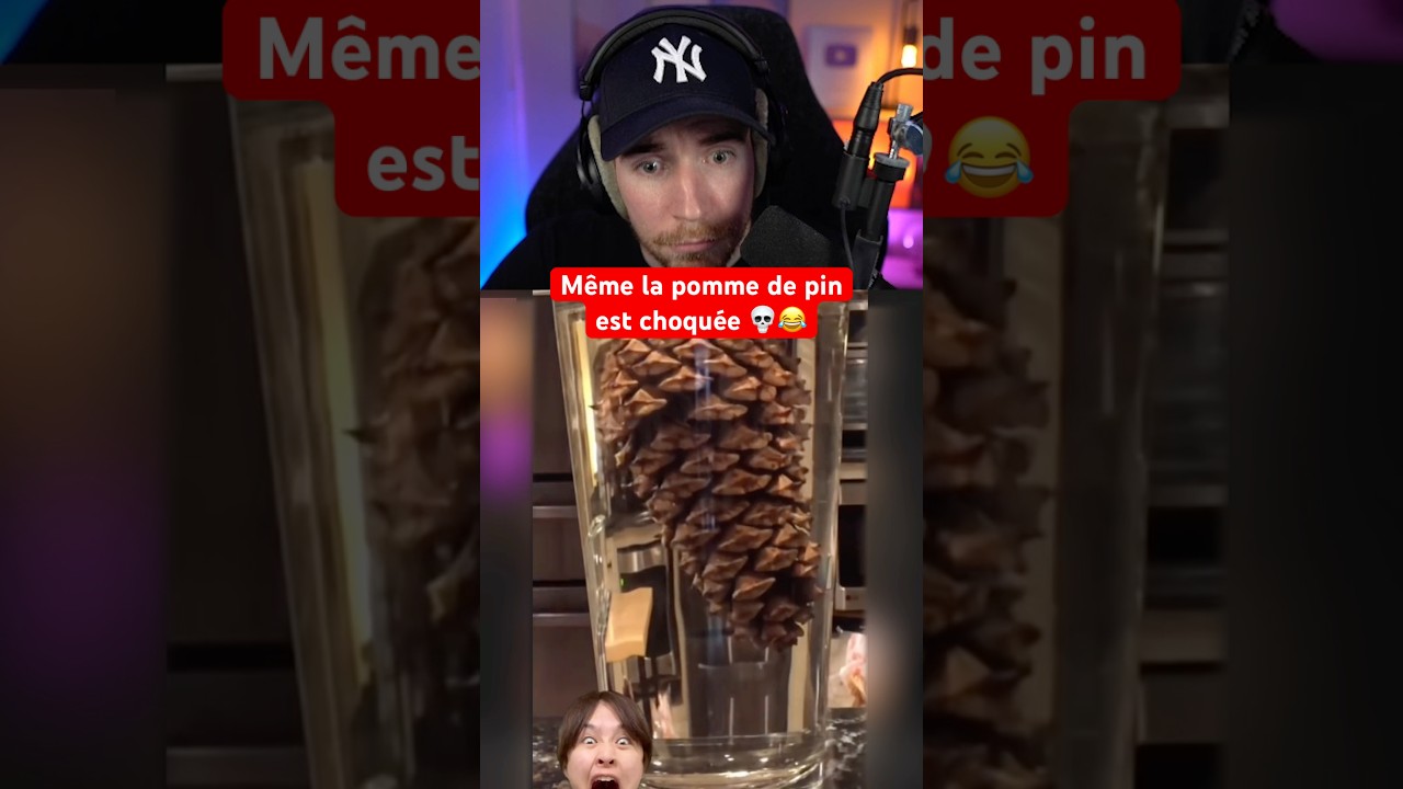 MÊME LA POMME DE PIN EST CHOQUÉE 💀😂