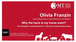 Dropping behaviour in male horses during training sessions | O. Franzin