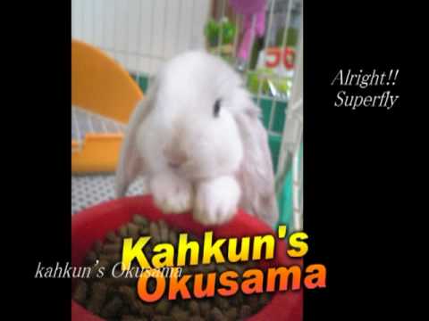 Alright!!_Superfly ／カヴァー