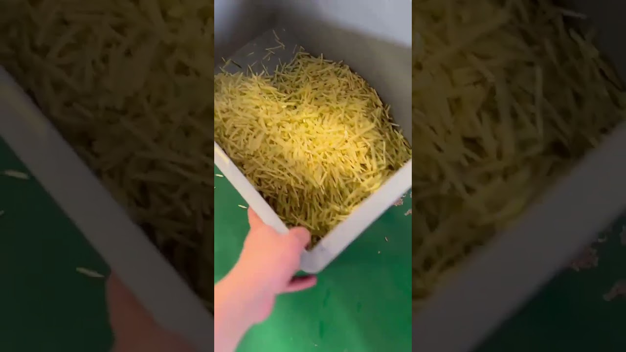 Large root vegetable slicing and shredding machine,capacity is 1-1.5ton per hour for slices,shreds.