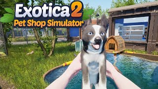 More Dogs & Employees! | Exotica 2: Pet Shop Simulator | Part 7 screenshot 4