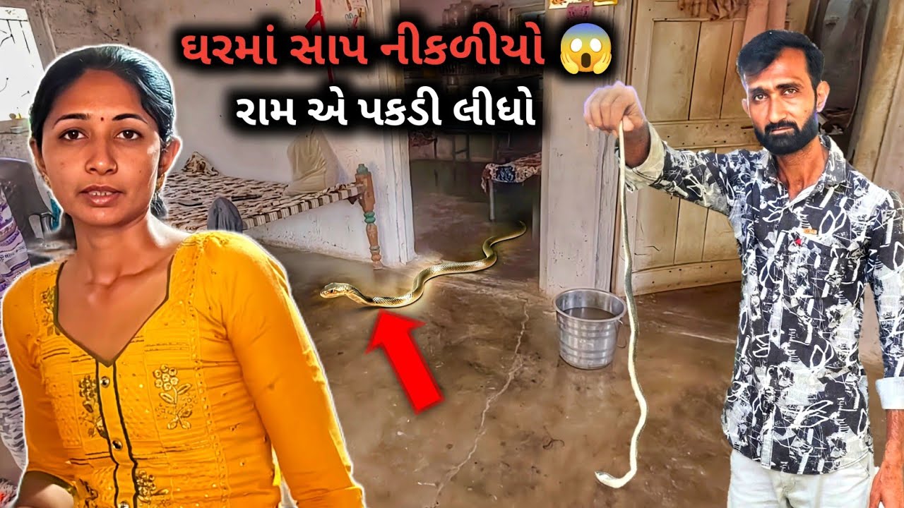 ઘરમાં સાપ નીકળીયો 😱 અને રામ એ પકડી લીધો || R Gujju Vlog || 