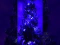I love ❣️ these lights 🎄#christmastree #christmas #trending #subscribe #makemefamous