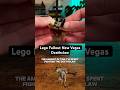 Building A PERFECT Lego Fallout New Vegas Deathclaw #lego #fallout
