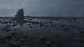 Rainy Low Tide in Forks | Pacific Coast Wind, Waves & Soft Rain screenshot 4