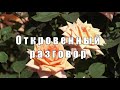 ОТКРОВЕННЫЙ РАЗГОВОР С ДЕПУТАТОМ РЯЗАНСКОЙ ОБЛАСТНОЙ ДУМЫ В. К. СИДОРОВЫМ