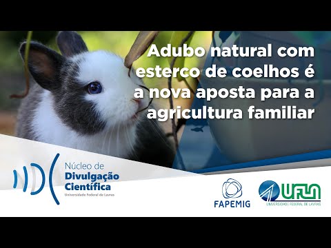 Vídeo: Compostagem de estrume de coelho: usando fertilizante de estrume de coelho no jardim