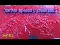 Как убрать краску с пластиковой детали? (ремонт ушатаного бампера #1) [БЫТ]