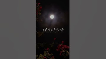 ﴿وَتَحْسَبُهُمْ أَيْقَاظًا وَهُمْ رُقُودٌ﴾  | القارئ محمد صديق المنشاوي #قرآن #اكسبلور #المصحف.