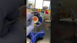 Lab 8: incinerator