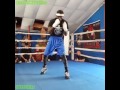 BOXERS IN TRAINING AMAZING COMPILATION