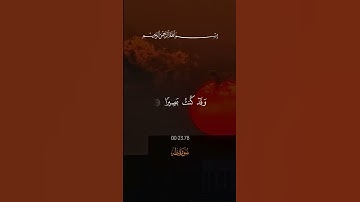 #قران_كريم #اكسبلور #المصحف #اذكروا_الله #دويتو #قران #لايك #تلاوة_خاشعة