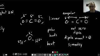 Celebrity Chapter 9: Polar Molecules Part 1 | CHM 103 | 127 Wealth