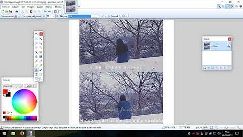 [Paint.NET] Tampon de clonar