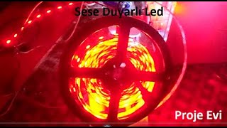 Sese Duyarlı Şerid Led  // Voice Sensitive Strip Led  // نوار حساس به صدا  evdekal stayhome home