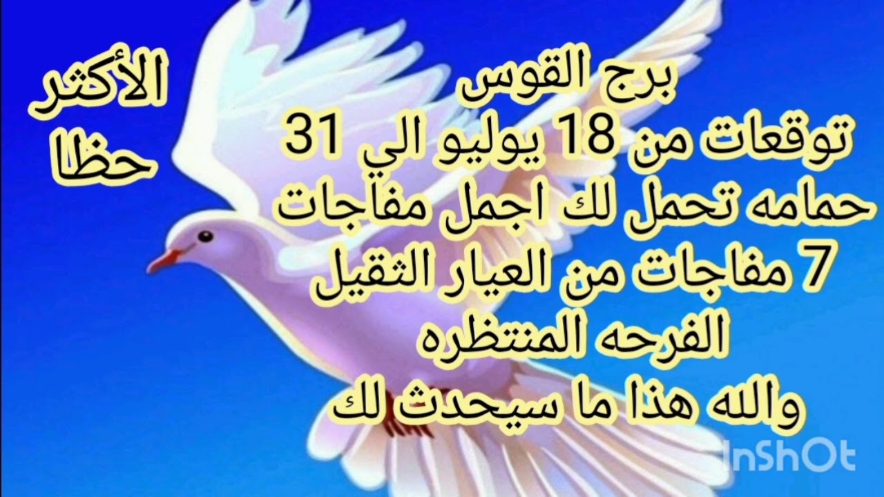 برج القوس توقعات من 18 يوليو الي 31//حمامه تحمل لك اجمل مفاجات//ماذا بينك وبين الله حتي يعوضك