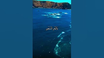 واتس اب قران كريم القارئ ياسر دوسري (سوره الطور)