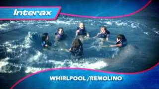 Swim with dolphins - Interax