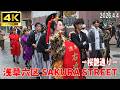 【4K Japan】2026.4.4 浅草六区 SAKURA STREET -桜艶通り-『Asakusa Rokku SAKURA STREET』#浅草 #花魁 #忍者