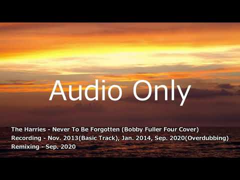 The Harries - Never To Be Forgotten (The Bobby Fuller Four Cover) Version2