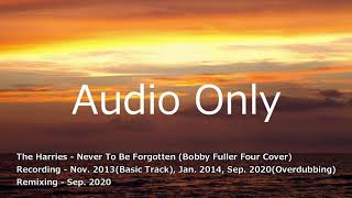 The Harries - Never To Be Forgotten (The Bobby Fuller Four Cover) Version2