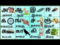 அஆஇஈ/க்ங்ச்ஞ்/ககாகிகீ/Uyireluthukkal/Meieluthukkal/Uyirmeieluthukkal/Tamil Alphabets @PEEKABOO-ff8wq