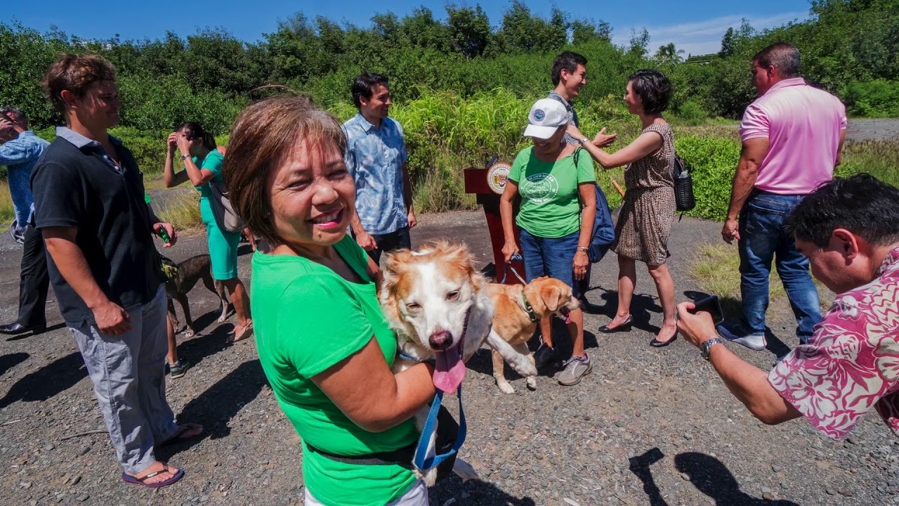 New dog park coming to Oahu's Windward side in Kailua YouTube