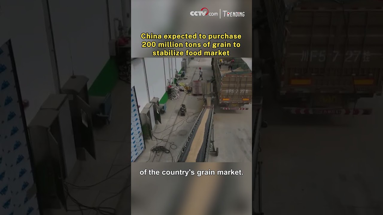 China expected to purchase 200 million tons of grain to stabilize food market