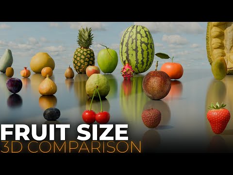 Fruits Size Comparison 2024 | Fruit Size Comparison 2024 | 3D Comparison