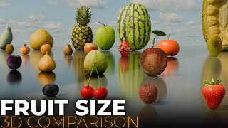 Fruits Size Comparison 2024 | Fruit Size Comparison 2024 | 3D Comparison